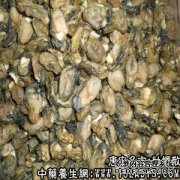 牡蛎散适用的症状_牡蛎散临床应用