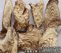 疏凿饮子适用的症状_疏凿饮子临床应用